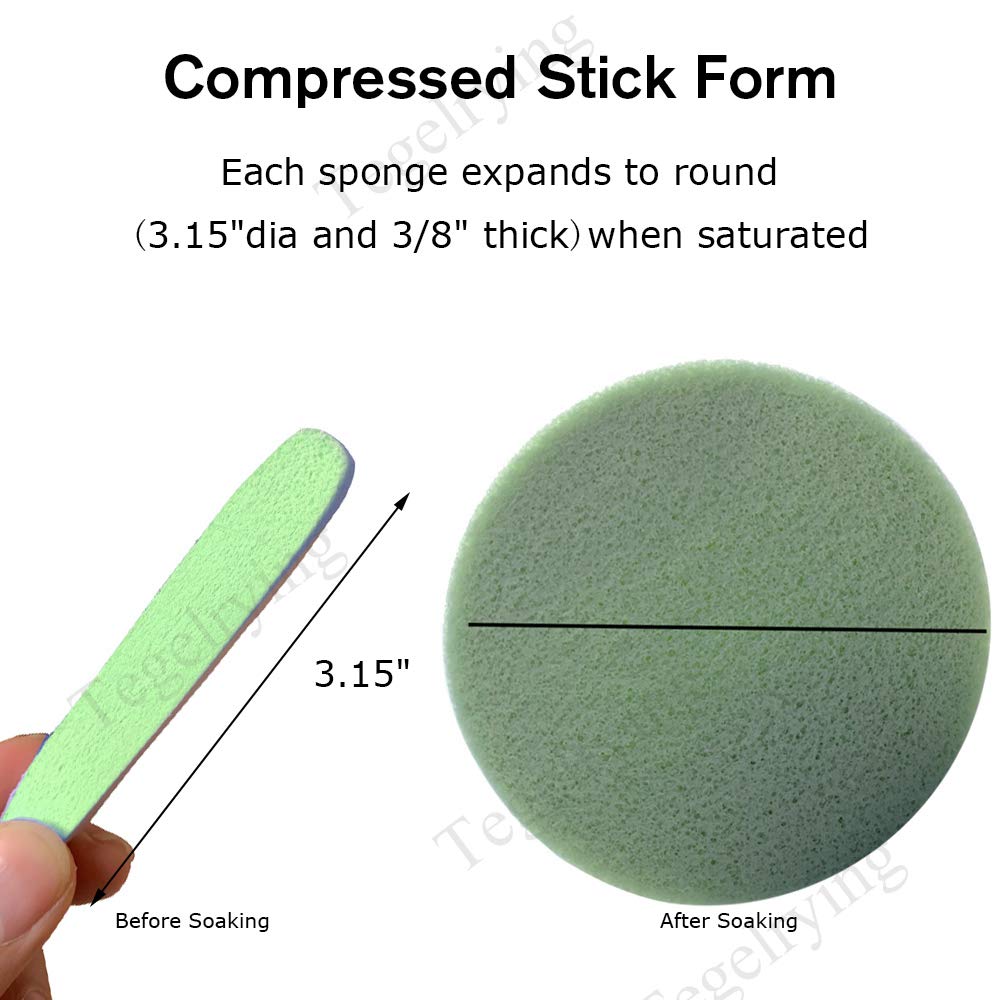 Facial Sponge Compressed (60 Count)