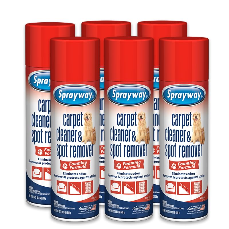 Carpet Cleaner (19 Ounce) - ModHome Supplies