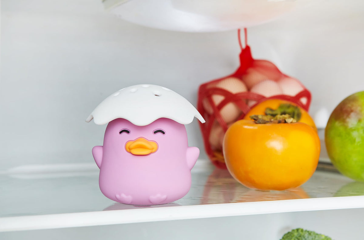 Duck Refrigerator Baking Soda Deodorizer Holder