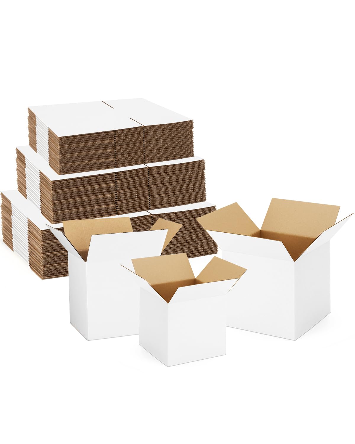 Assorted Sizes (45 Count)