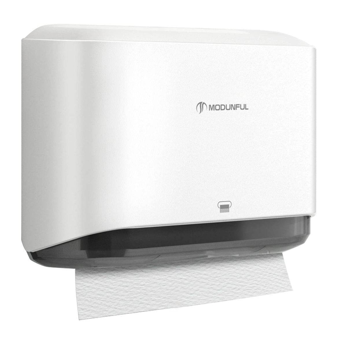 Paper Towel Dispenser Wall Mount