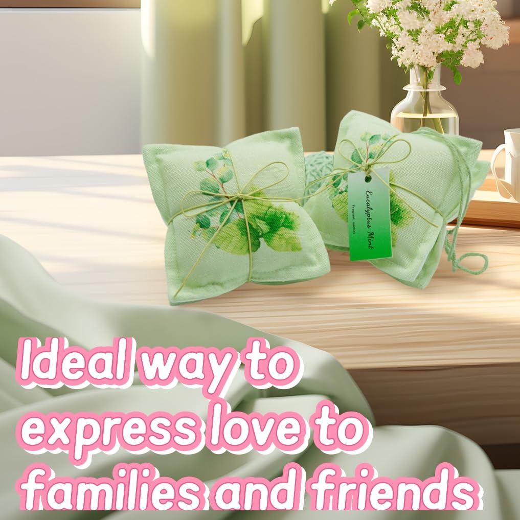 4 Pack Mint Sachet Bags for Drawers and Closets (4 Count)