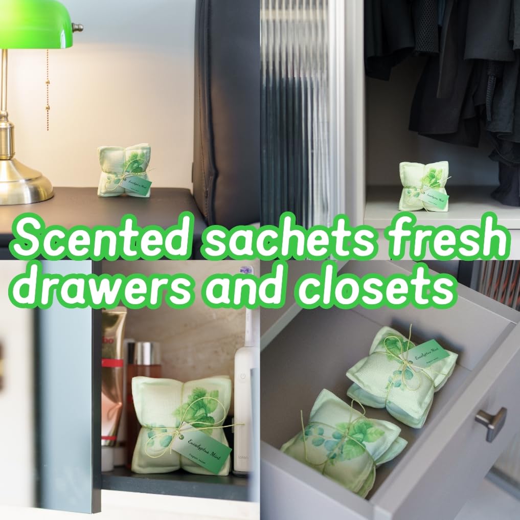 4 Pack Mint Sachet Bags for Drawers and Closets (4 Count)