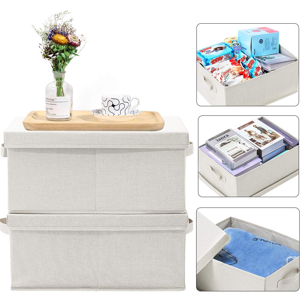 Foldable Storage Bins with Lids (2 Count)
