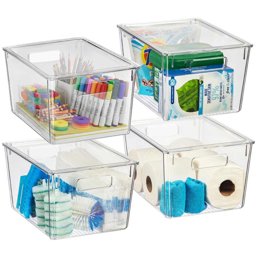 Storage Bin with Lid (4 Count)