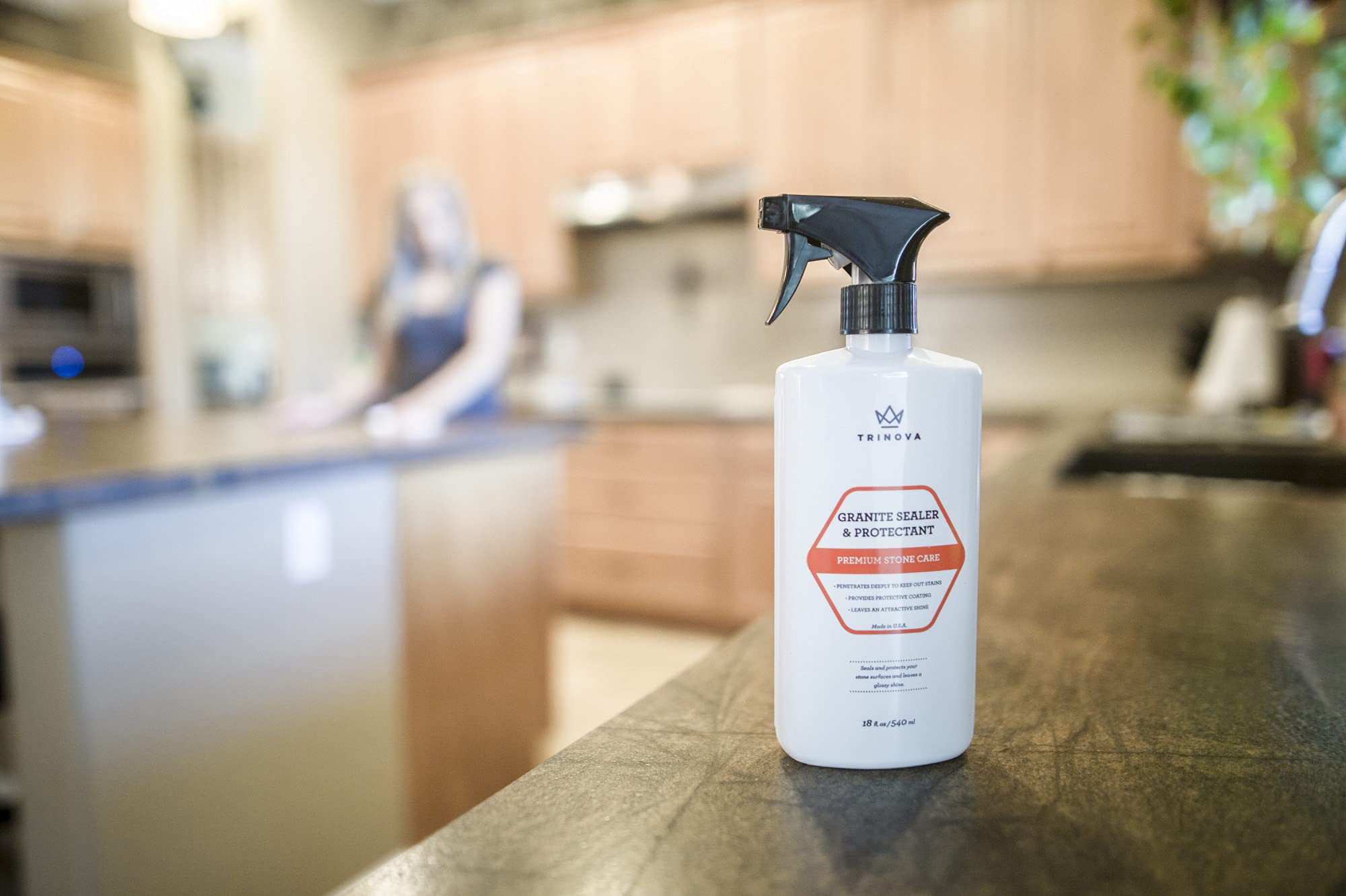 Granite Sealer & Protector for Stone Surfaces (18 Fl Oz)
