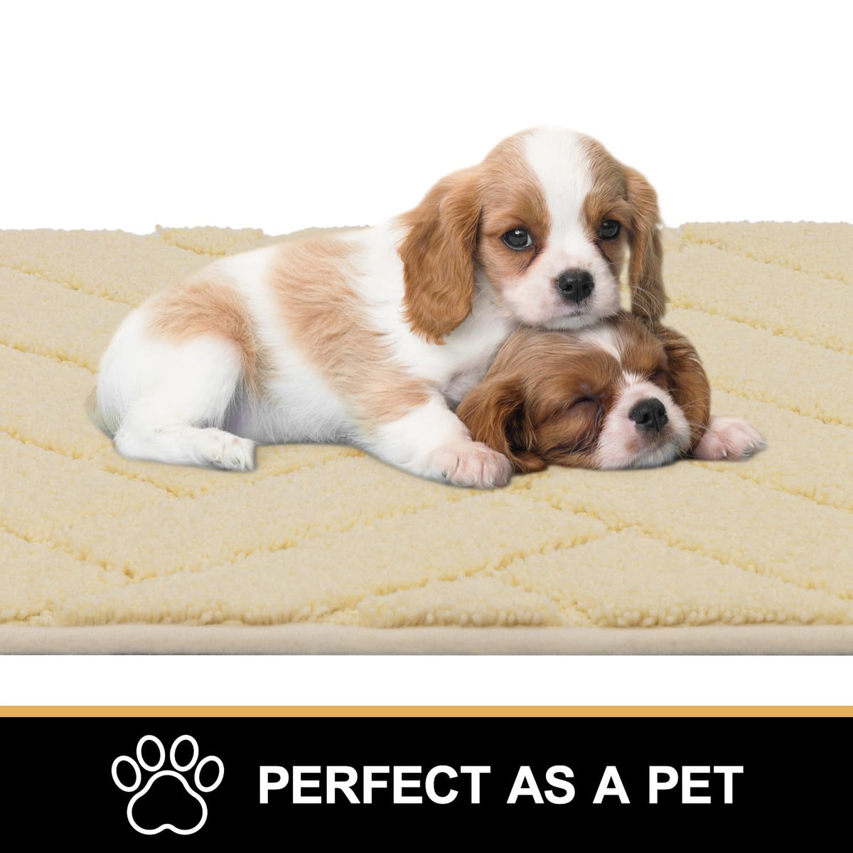 Indoor Doormat