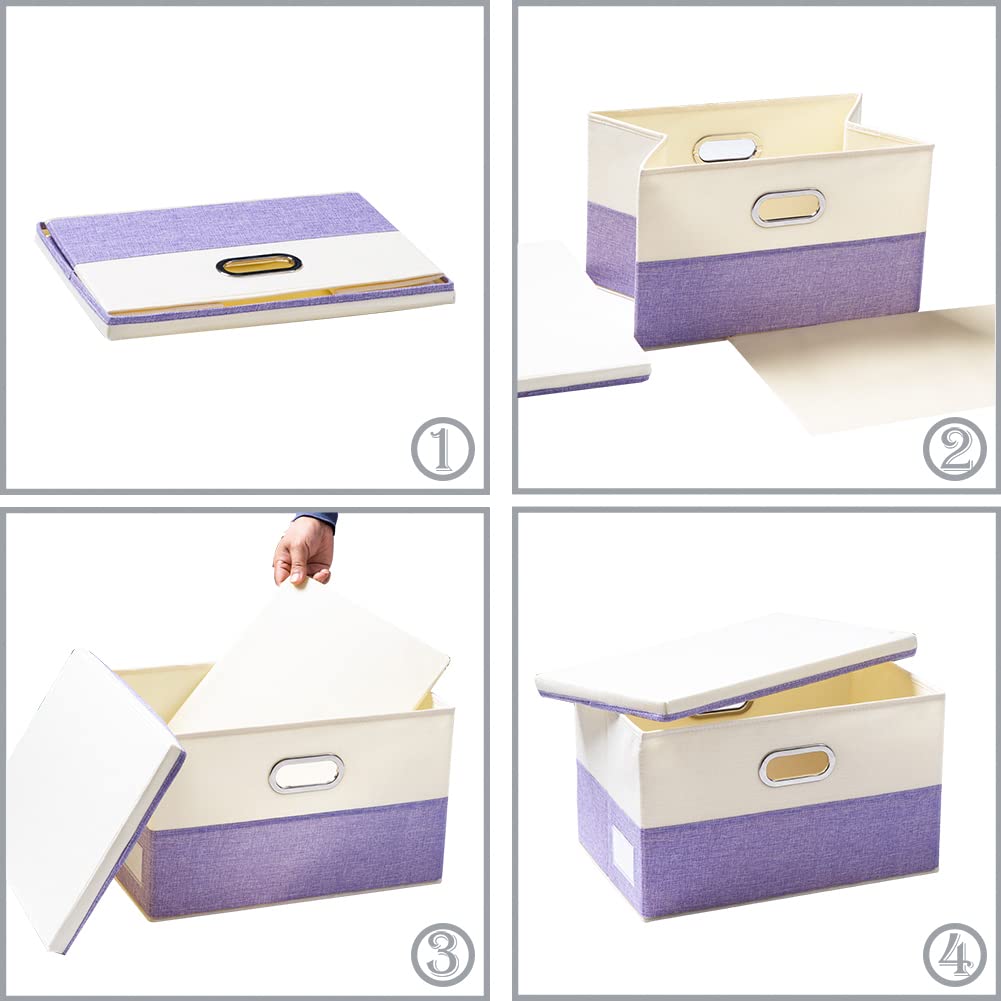 Collapsible Storage Bin with Lid [3 (3 Count)