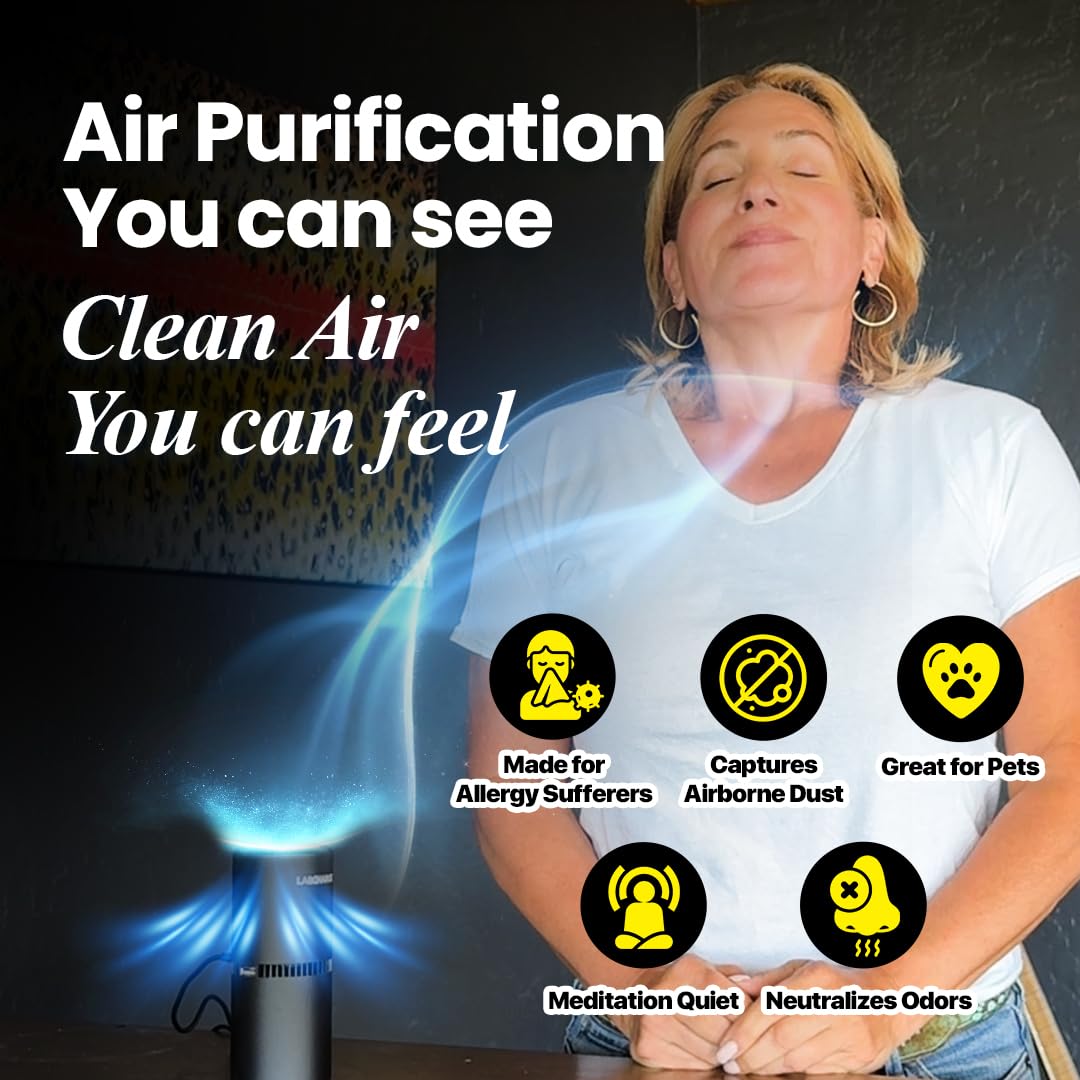 LabCharge Small Ionic Air Purifier for Home & Bedroom (5 Count)