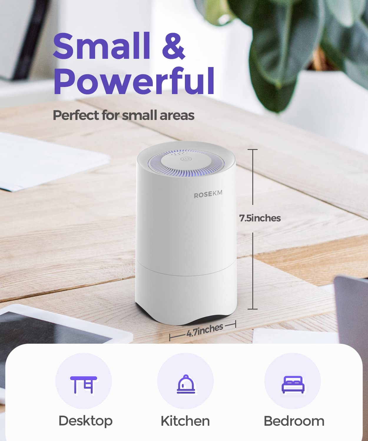 Small Air Purifier for Home Bedroom