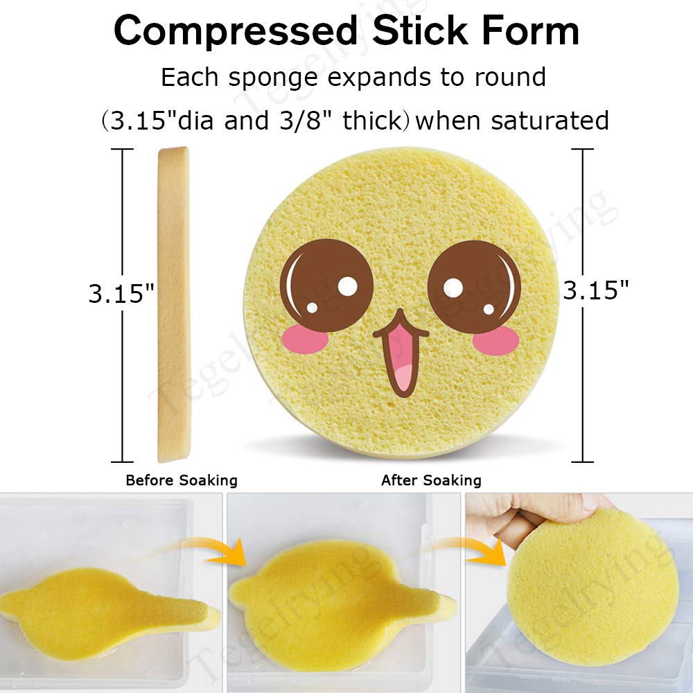 Facial Sponge Compressed (60 Count)