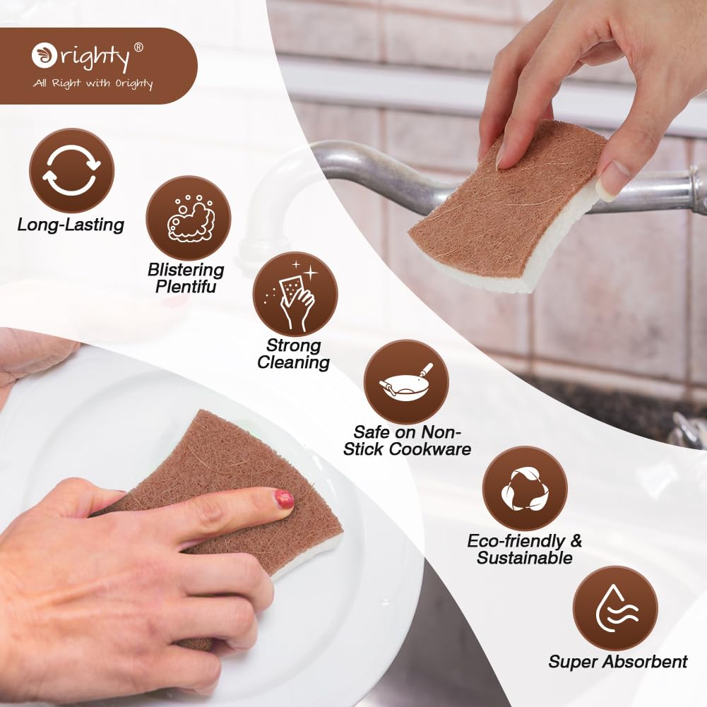 Non Scratch Scrub Sponge (24 Count) - ModHome Supplies