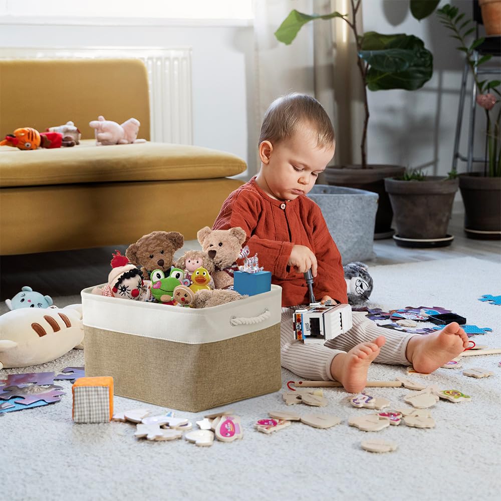 Organization and Storage Basket for Organizing (3 Count)