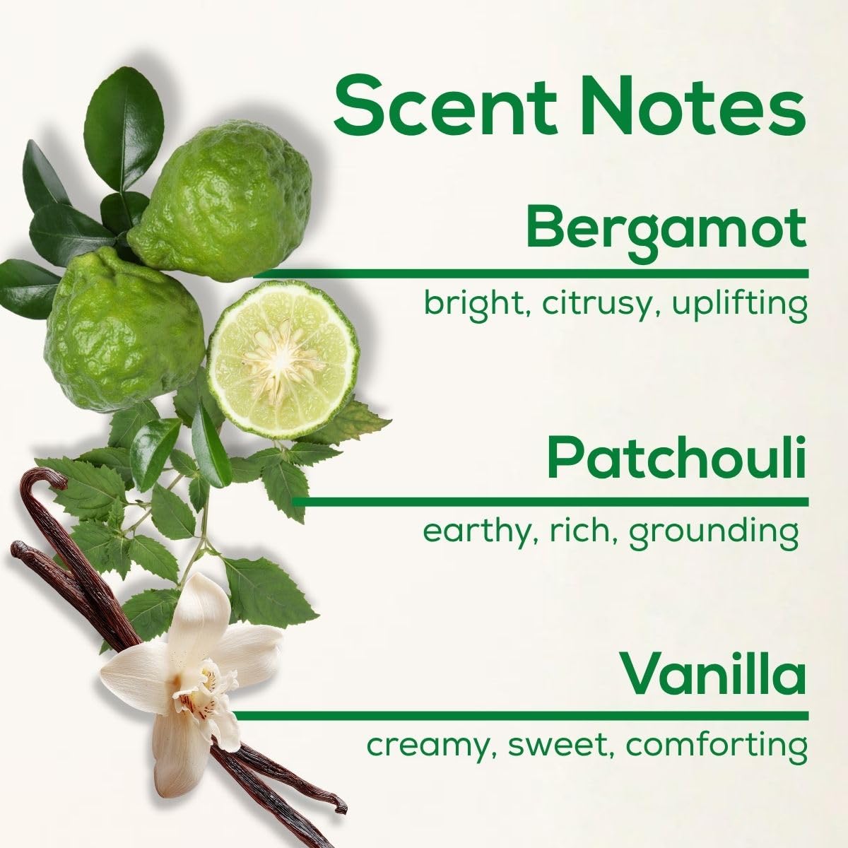 Vanilla Patchouli Plug in Air Freshener (2.72 Fl Oz)