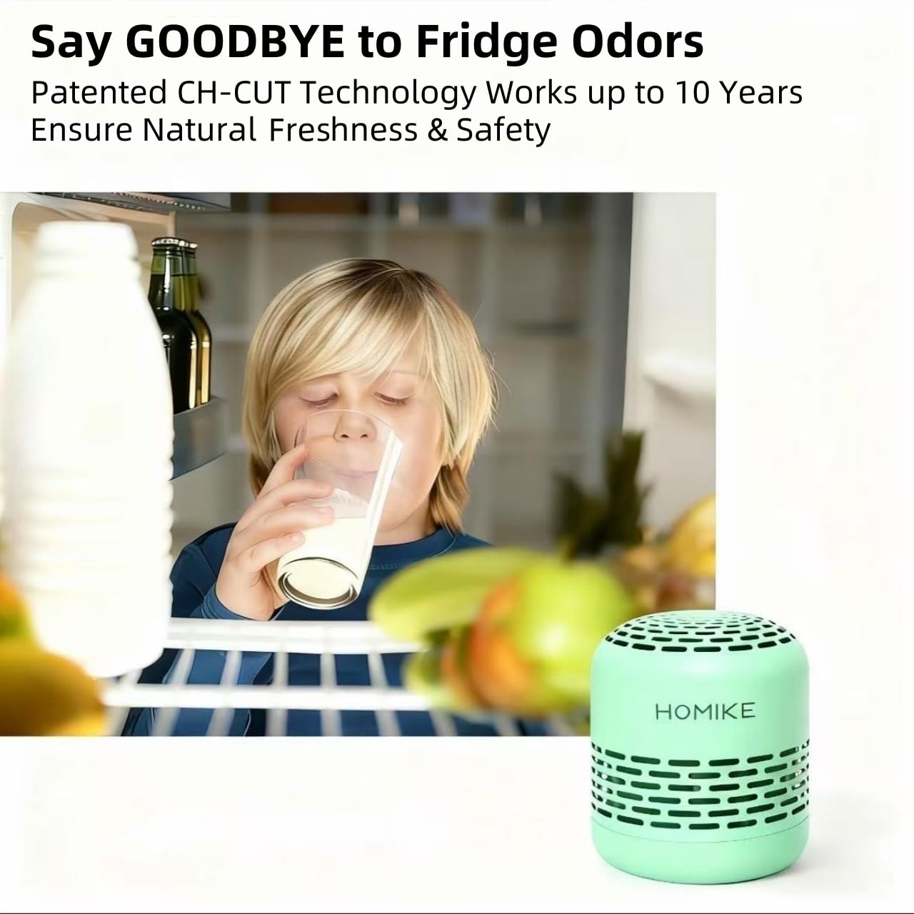 Refrigerator Deodorizer