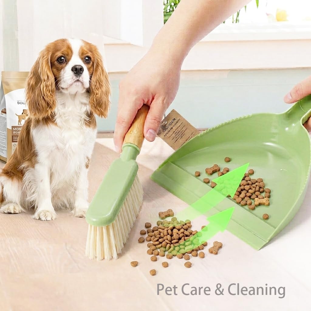 Dust Pan and Brush Set