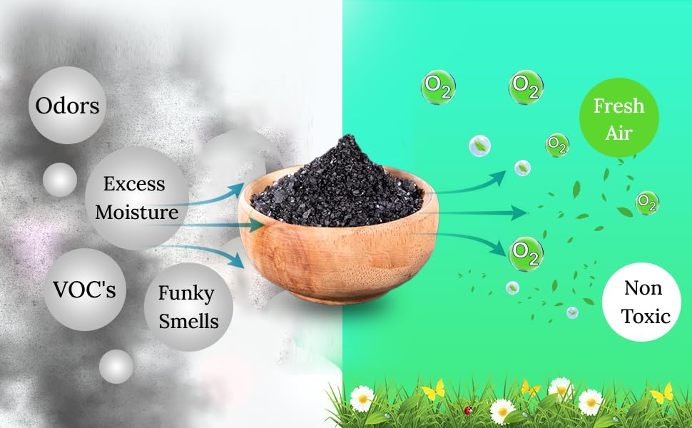 Activated Charcoal Coarse Grain (80 Ounce)