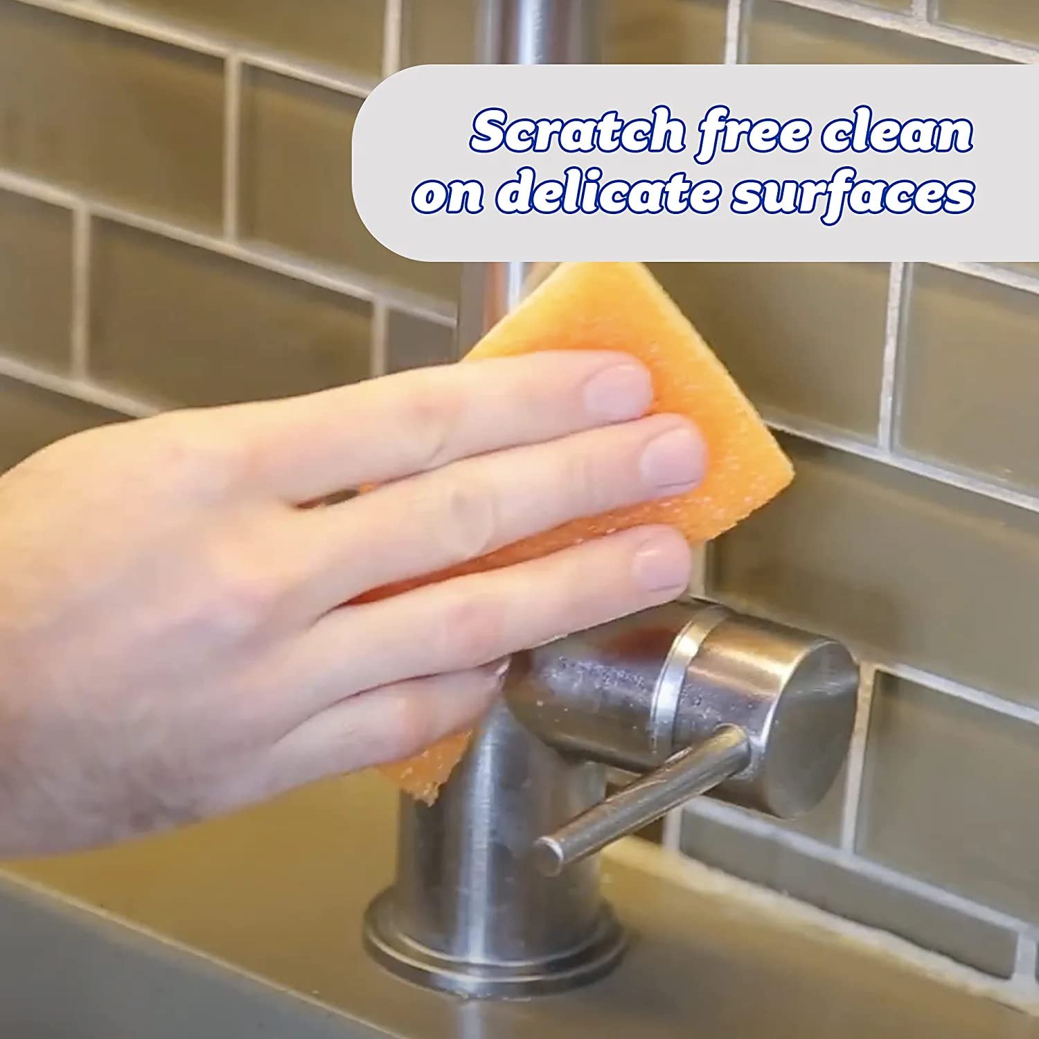 Sponge Daddy Scratch