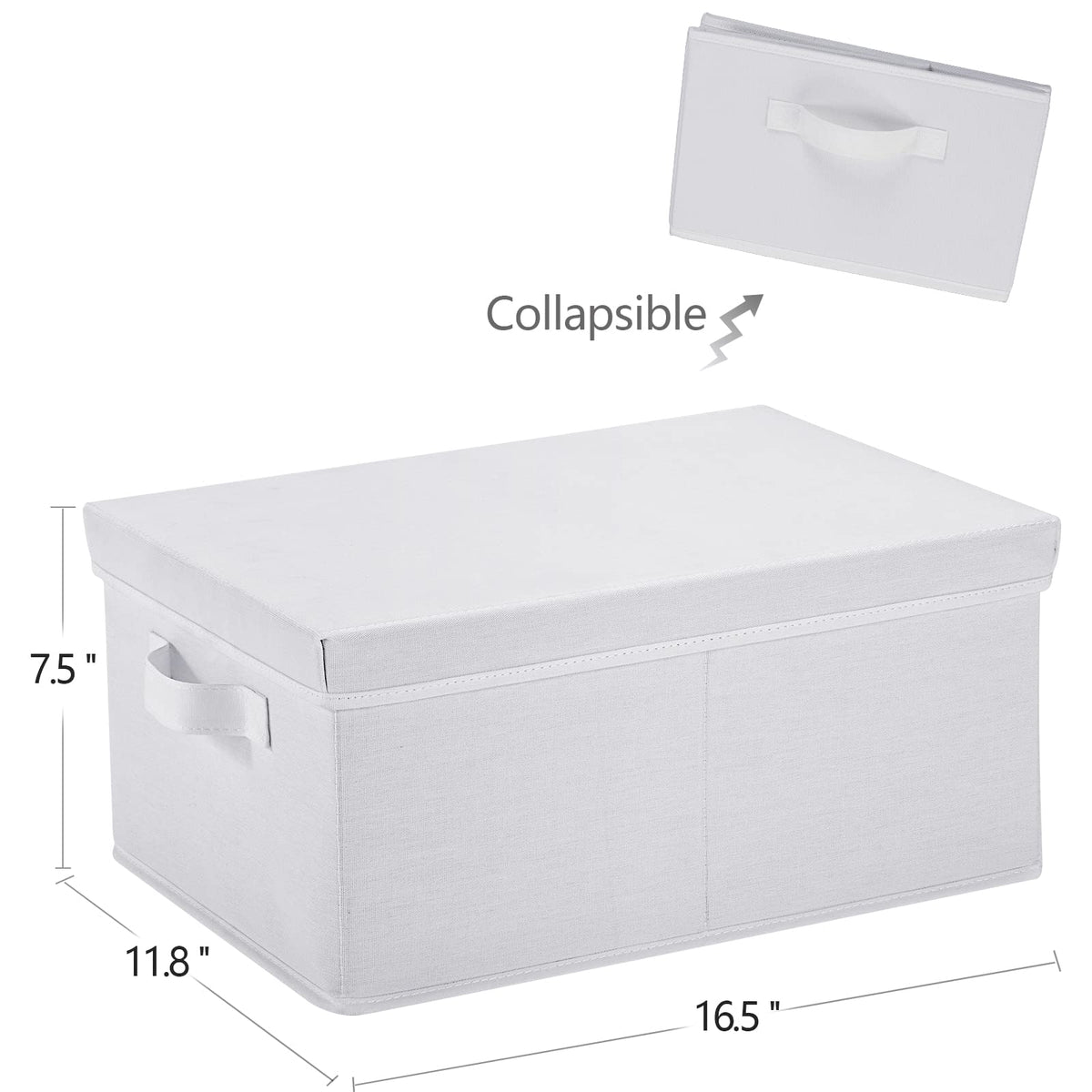 Storage Bins with Lids for Organizing (2 Count)