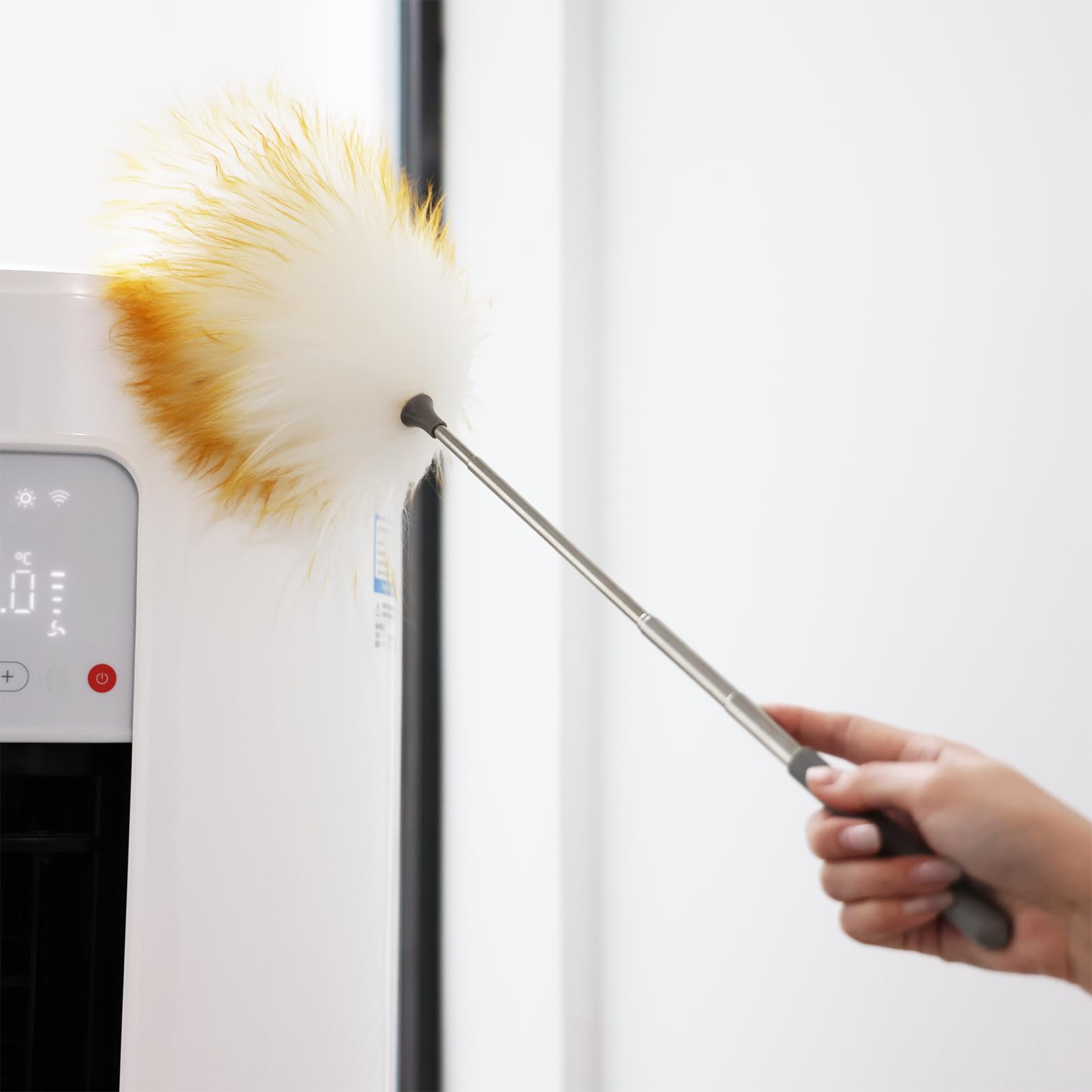 Mini Feathers Duster