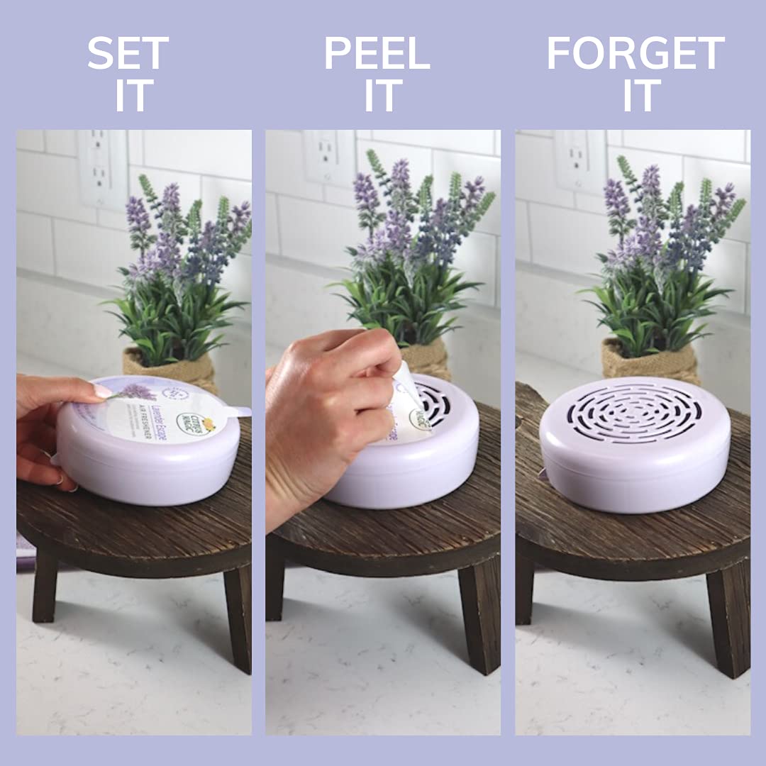 Solid Air Fresheners (48 Ounce)