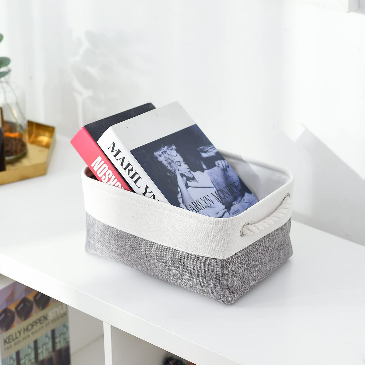 Organization and Storage Basket for Shelves