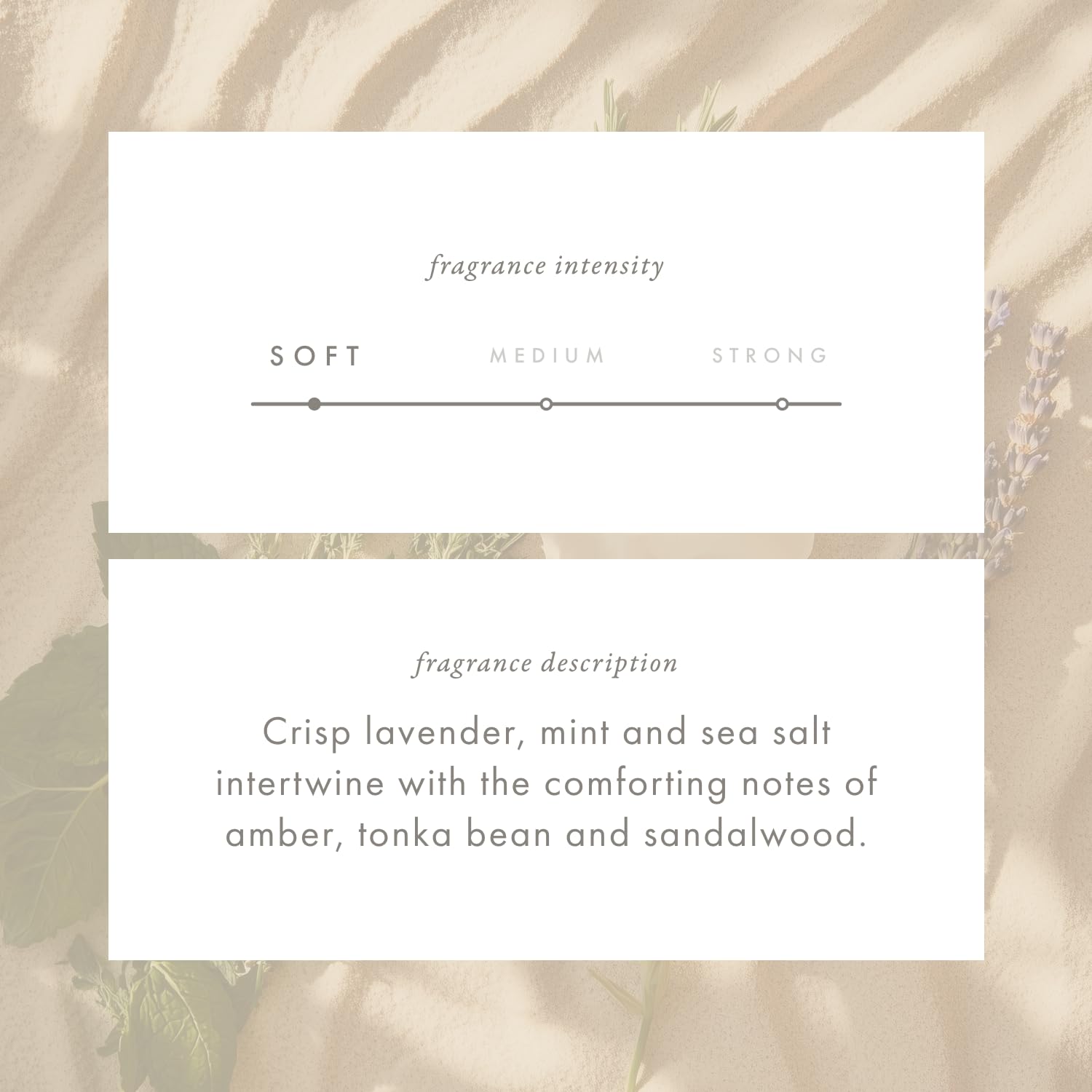Whisper Essential Monthly Plug