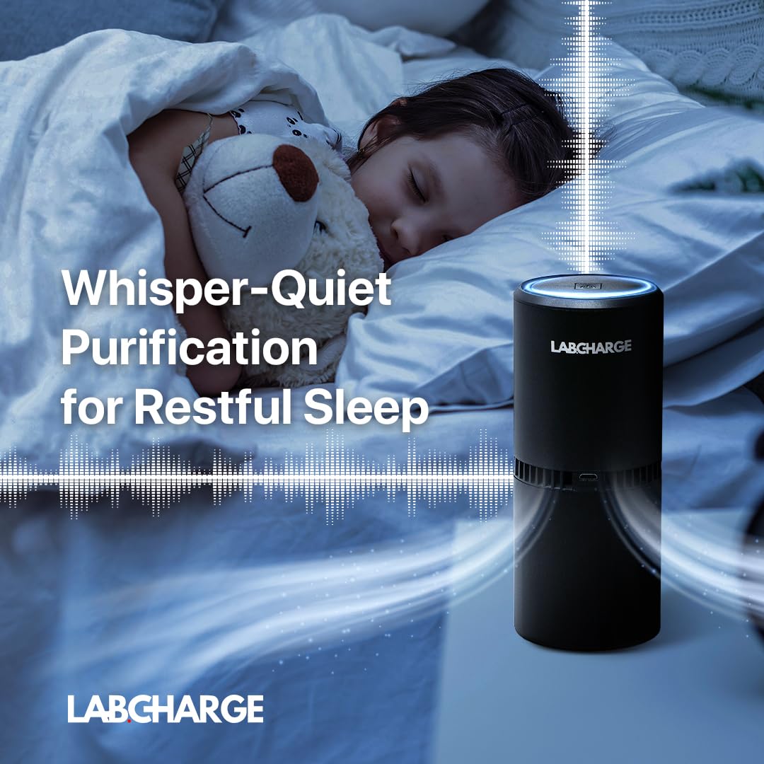 LabCharge Small Ionic Air Purifier for Home & Bedroom (5 Count)