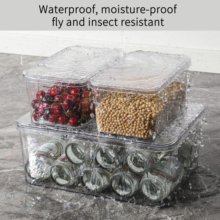 Clear Storage Bins With Lids