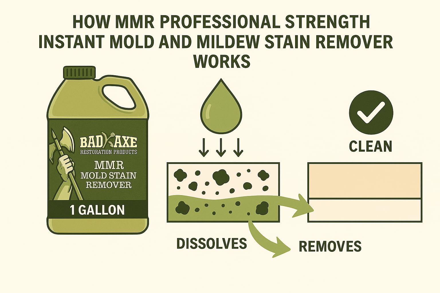 Bad Axe MMR Instant Mold Stain and Mildew Stain Remover (160 Fl Oz)