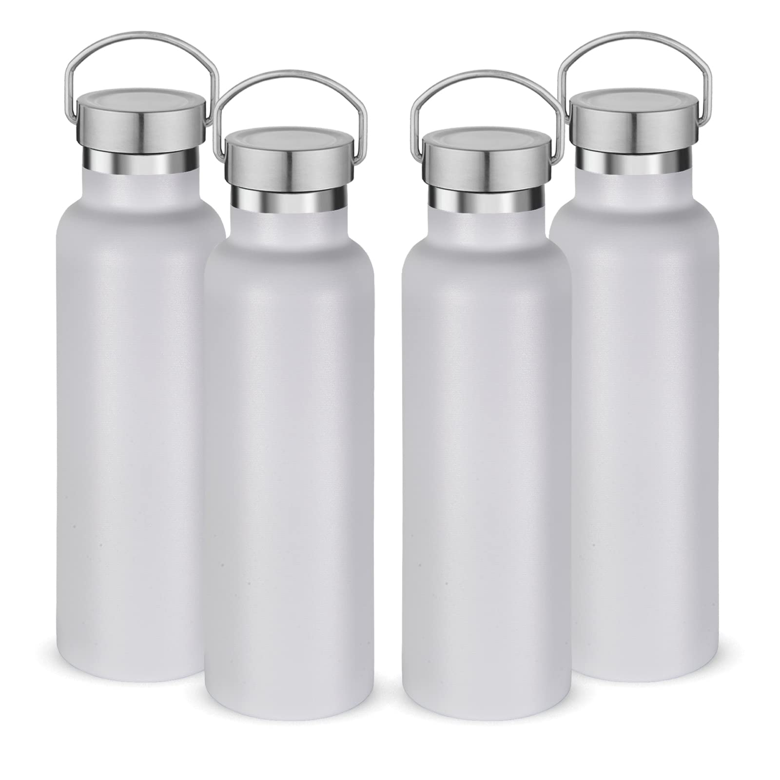 20 oz Insulated Water Bottles Bulk 4 Pack (4 Count)
