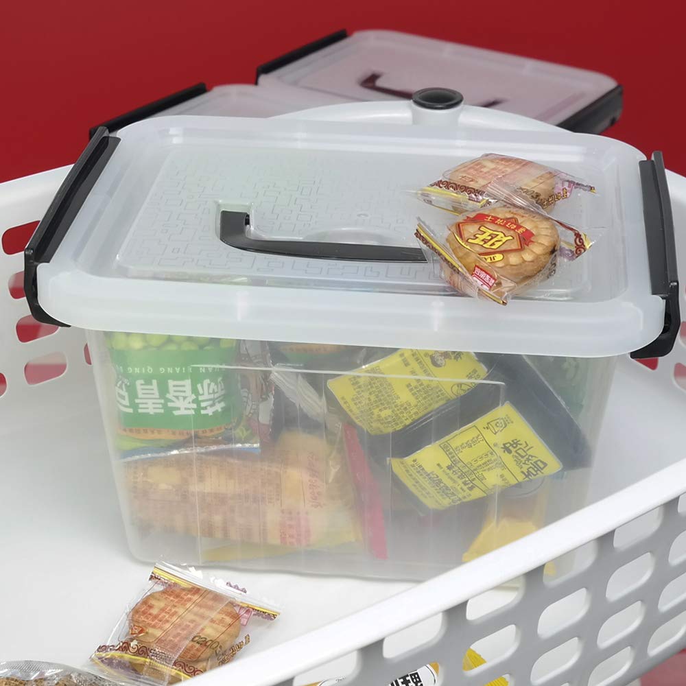 Small Plastic Latching Box (6 Count)