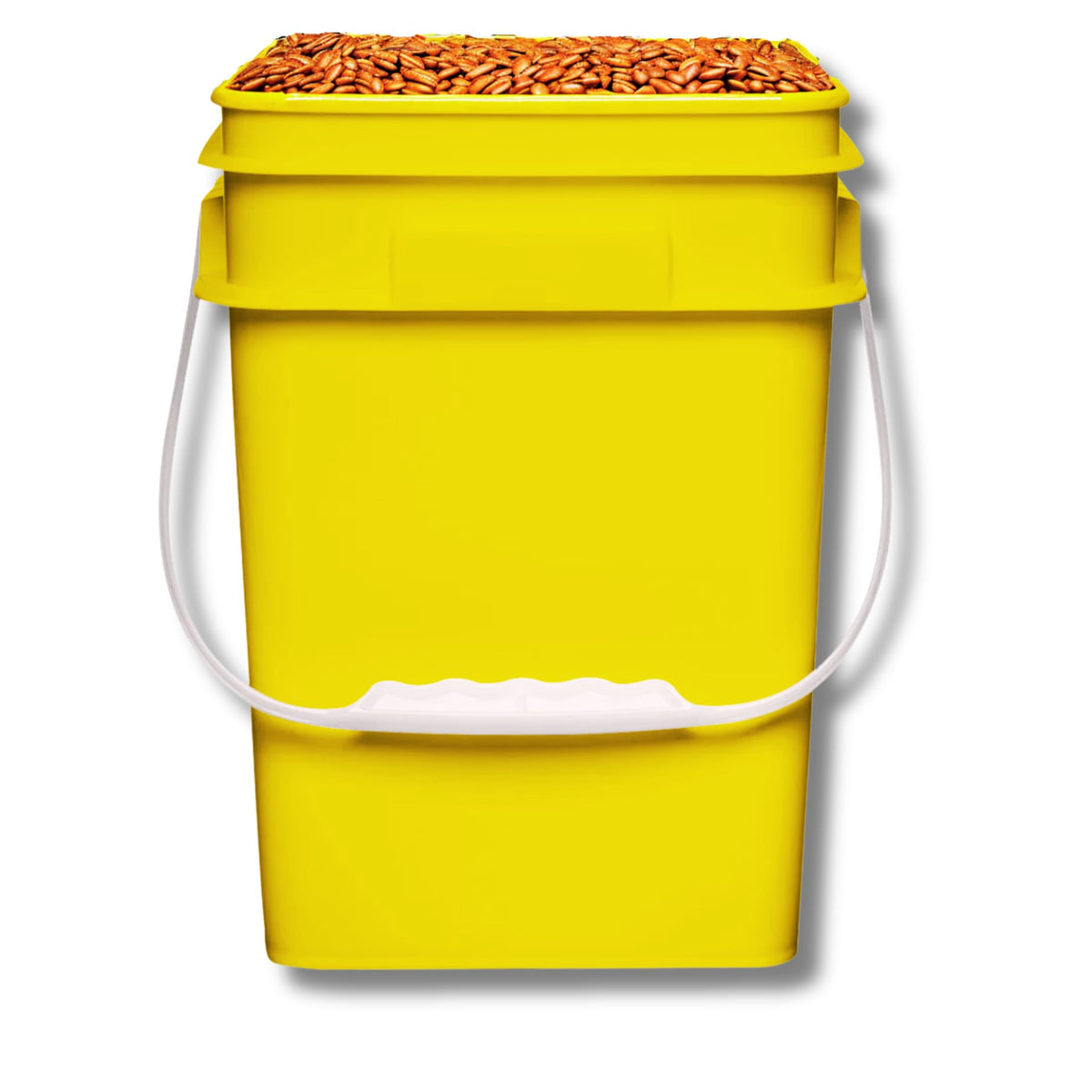 4 Gallon Square Food Grade Bucket Pail with Plastic Handles and Lid (3 Count)