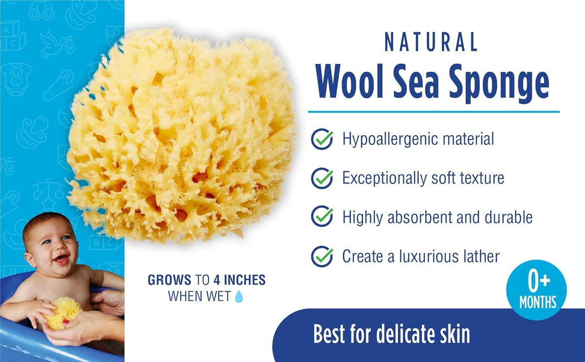 Absorbent Natural Bath Sponge