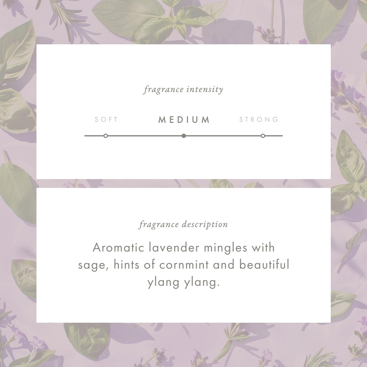 Whisper Essential Monthly Plug
