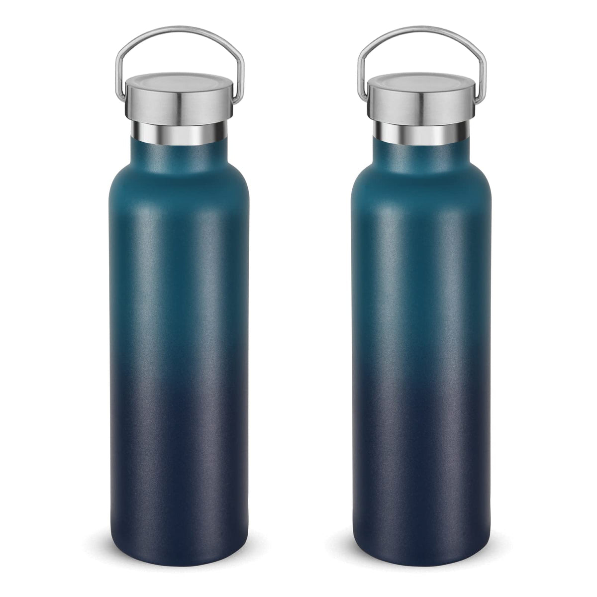 20 oz Insulated Water Bottles Bulk 2 Pack (2 Count)