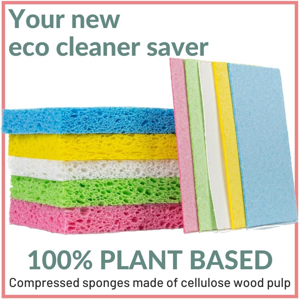 30 Pack Compostable Pop (30 Count)
