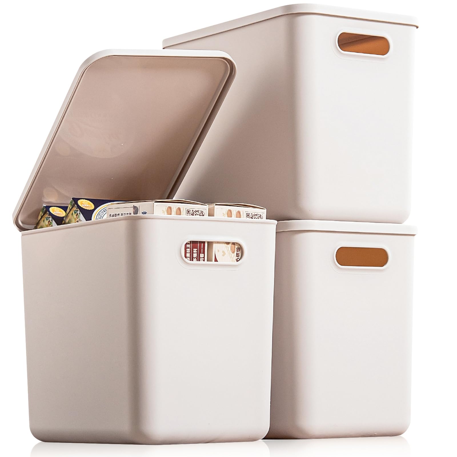 Plastic Storage Bins with lids (3 Count)