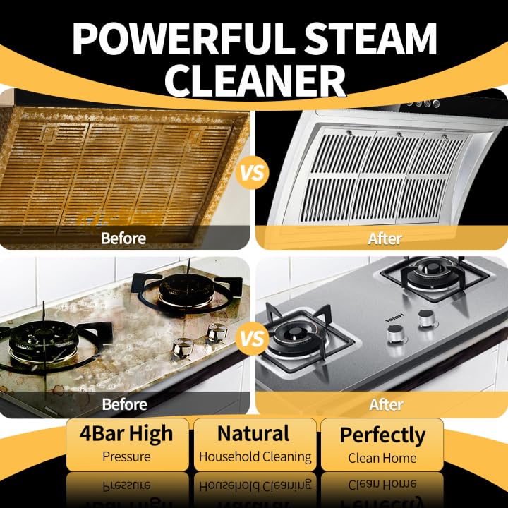 Steam Cleaner