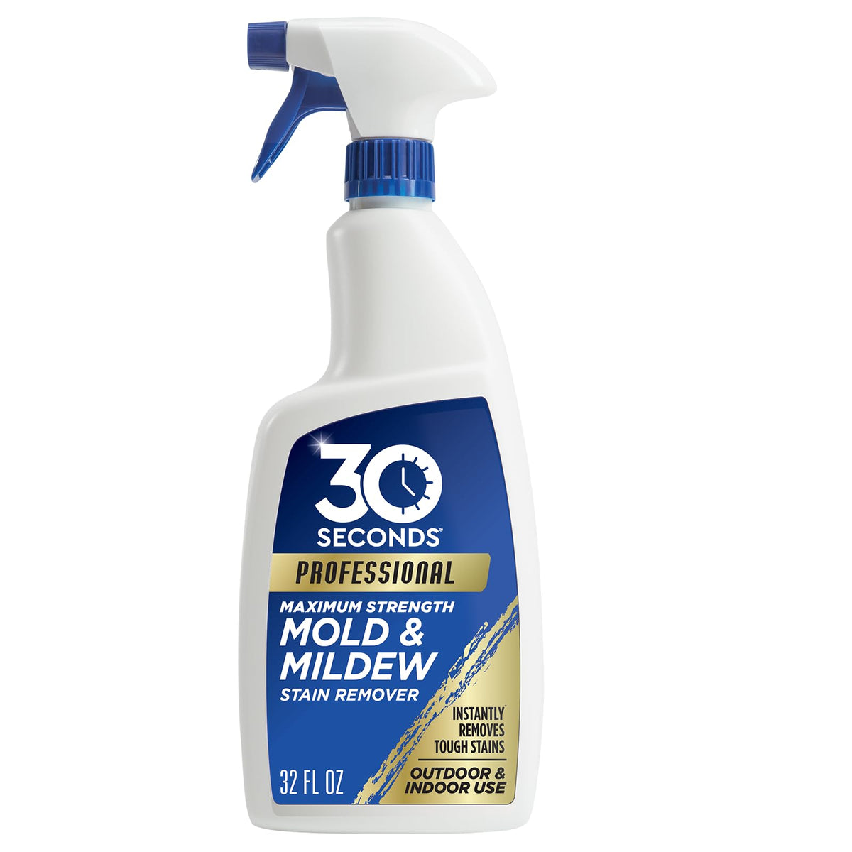Pro Mold & Mildew Stain Remover (32 Fl Oz)