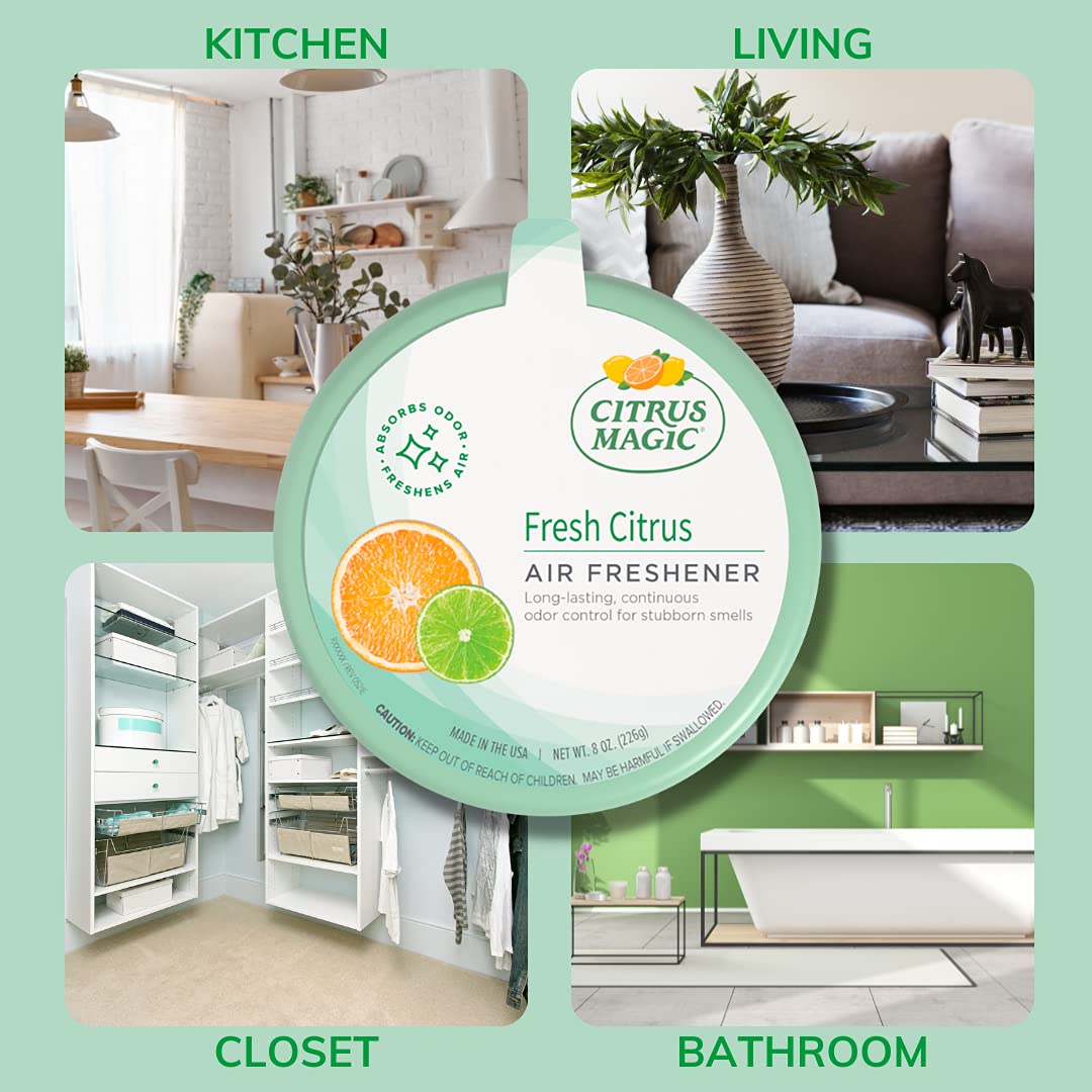 Solid Air Fresheners (48 Ounce)