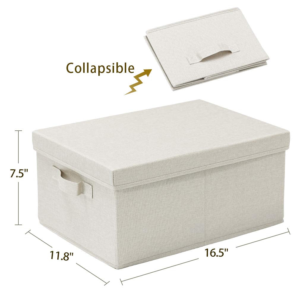 Foldable Storage Bins with Lids (2 Count)