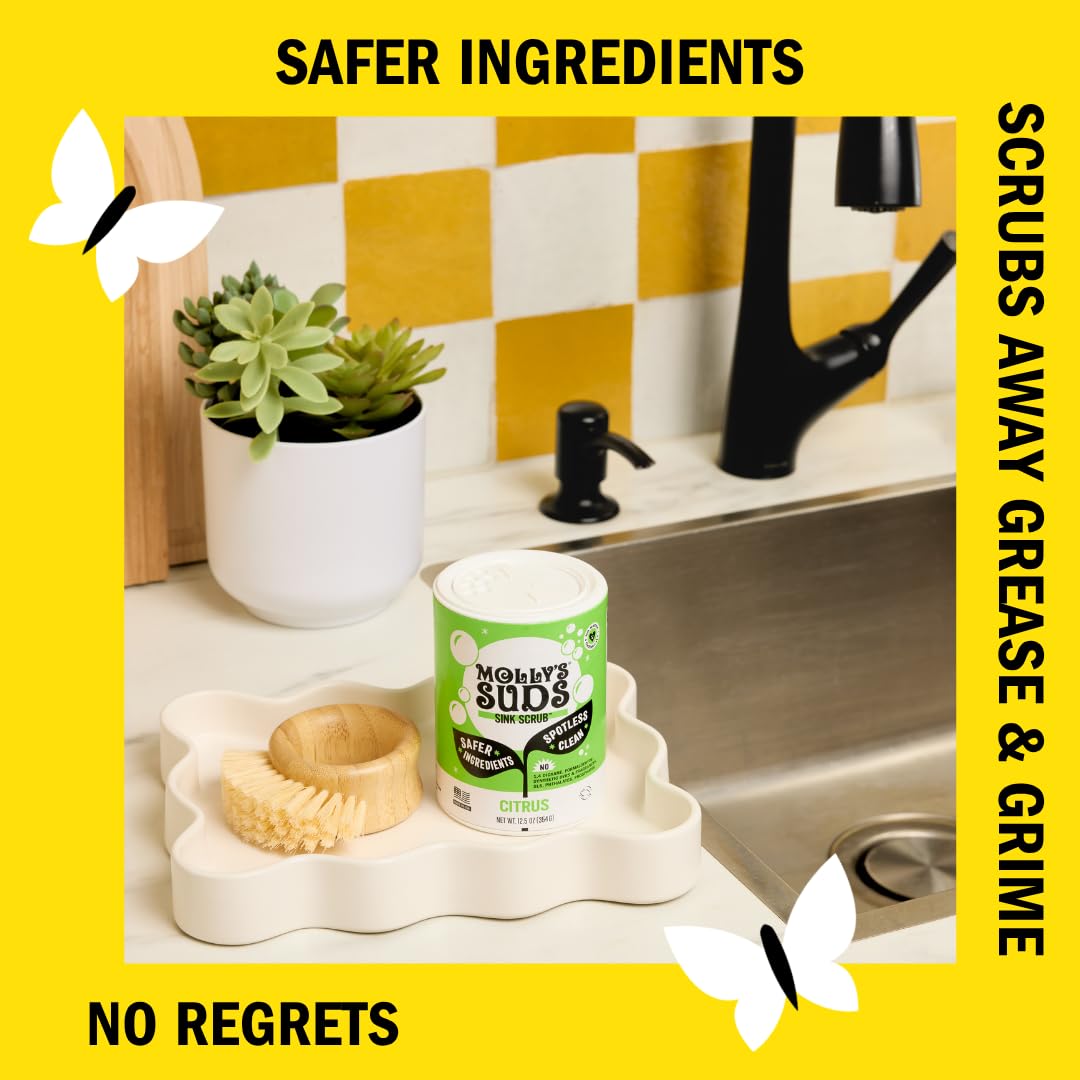 Sink and All Purpose SCRUB (25 Ounce)