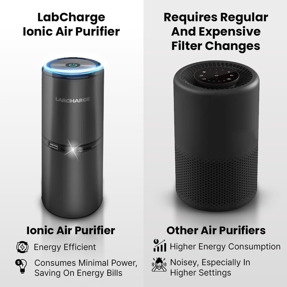 Small Ionic Air Purifier for Home & Bedroom (4 Count)