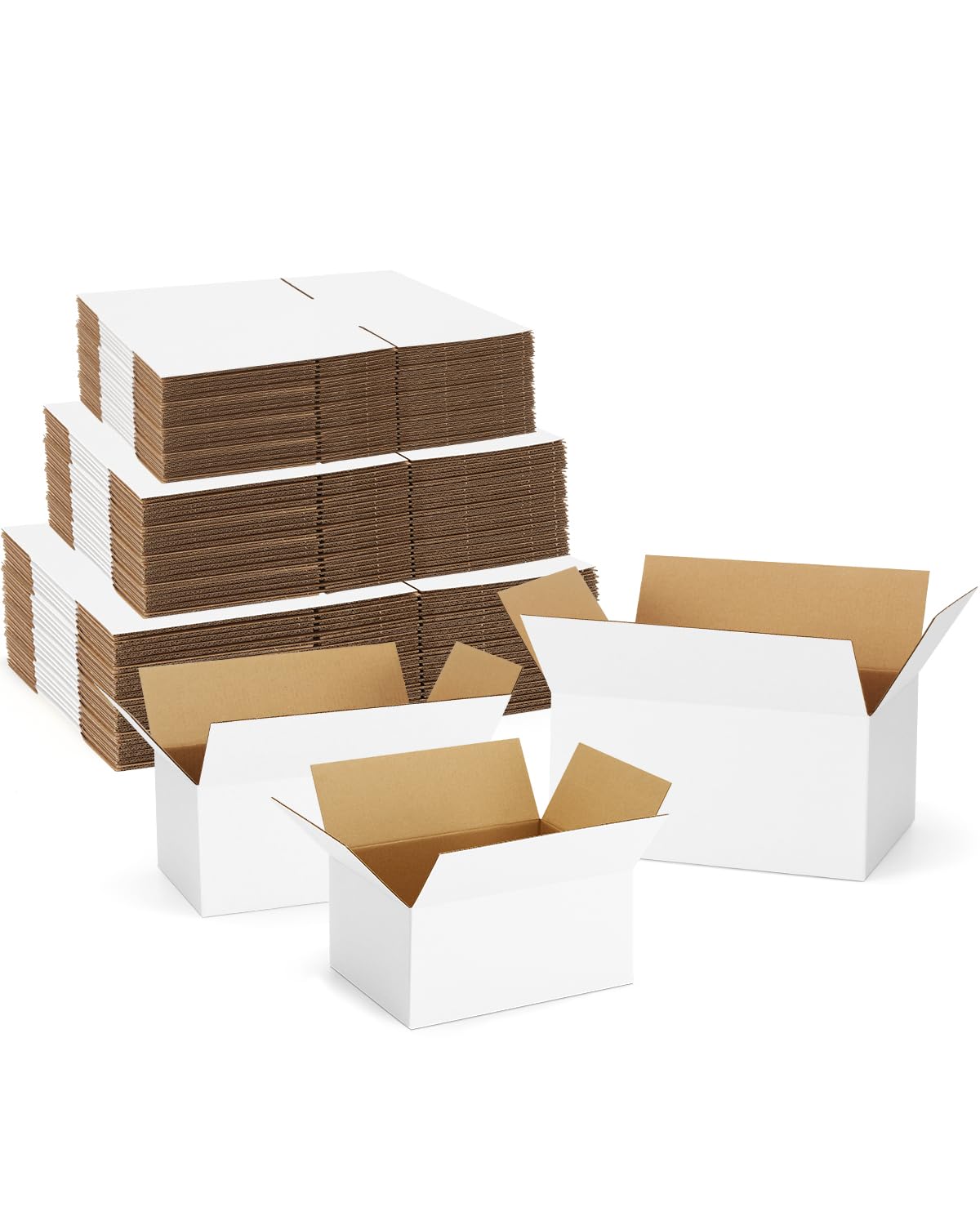 Assorted Sizes (45 Count)
