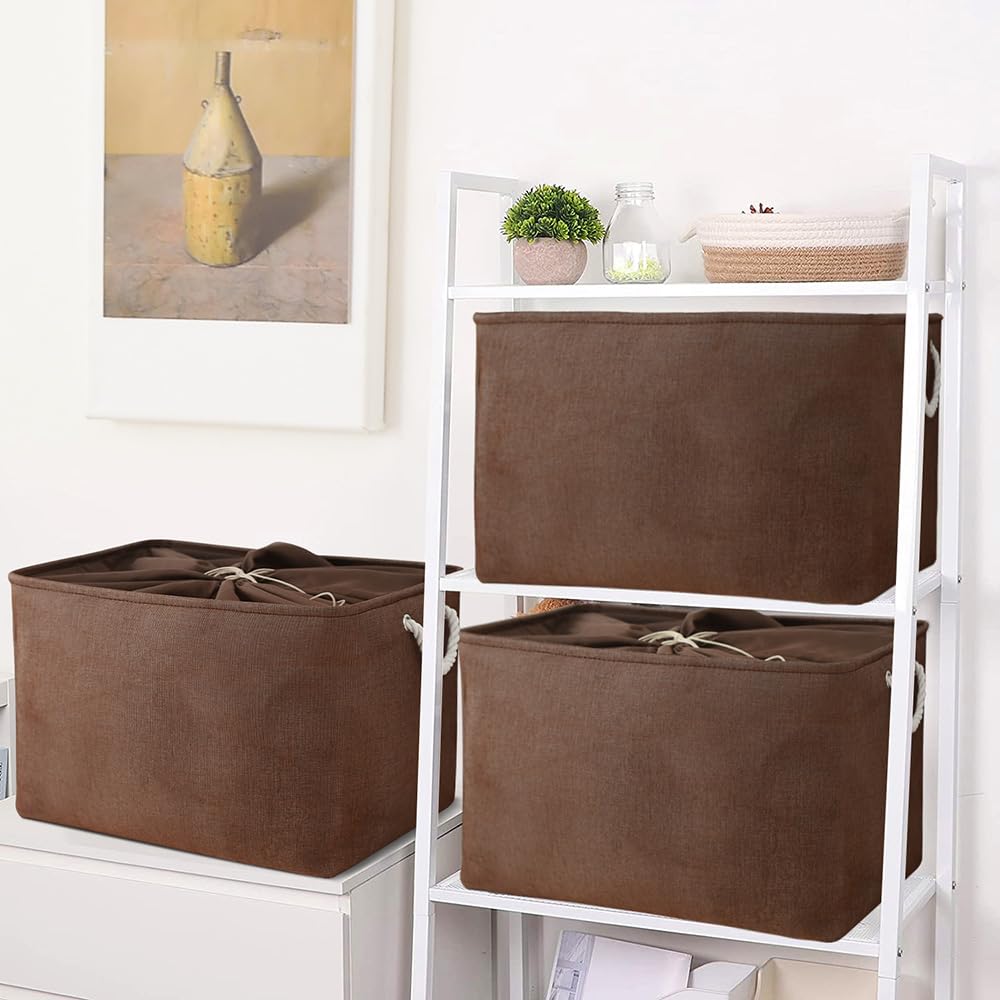 Organization and Storage for Organizing (3 Count)