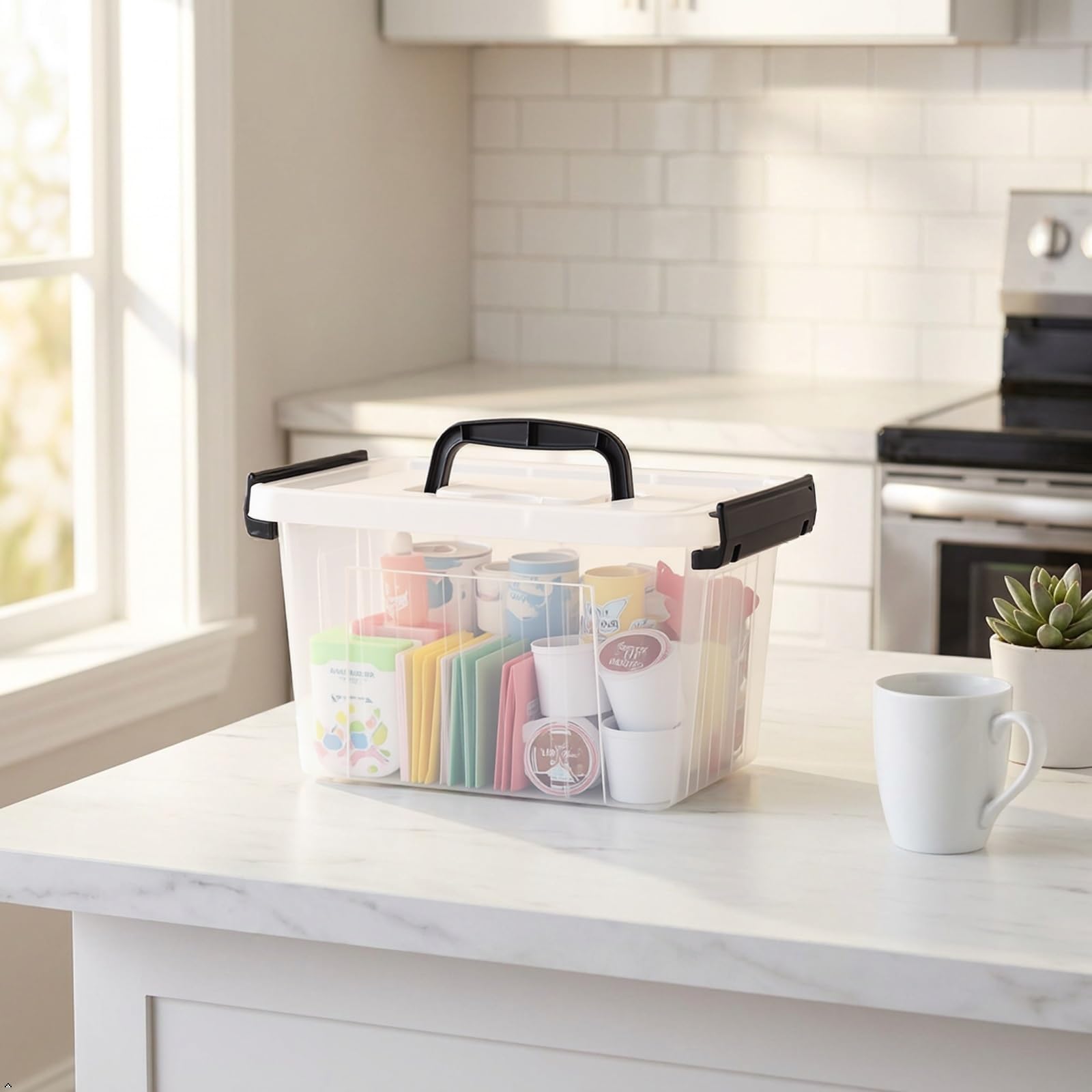 Small Plastic Storage Box (6 Count)