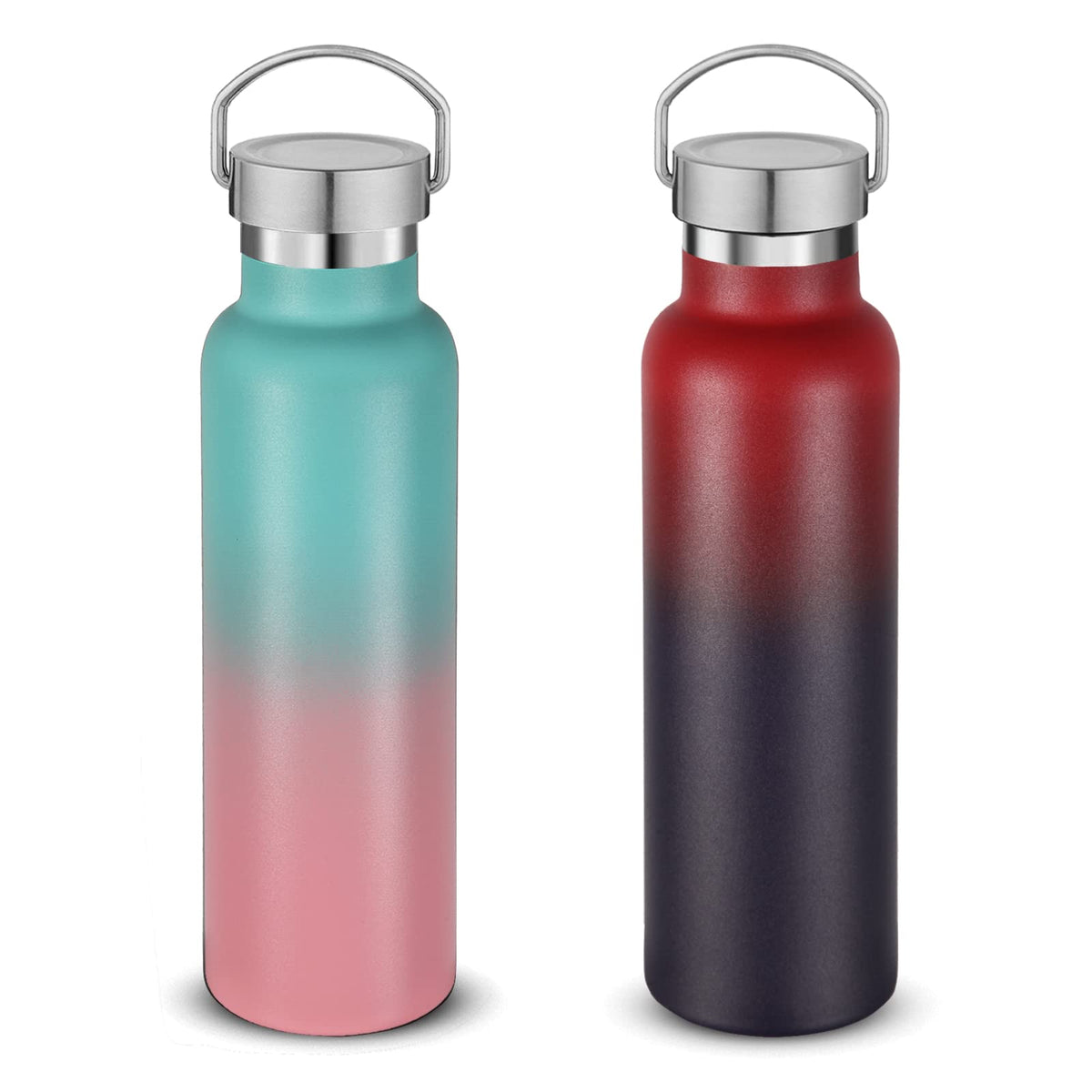 20 oz Insulated Water Bottles Bulk 2 Pack (2 Count)