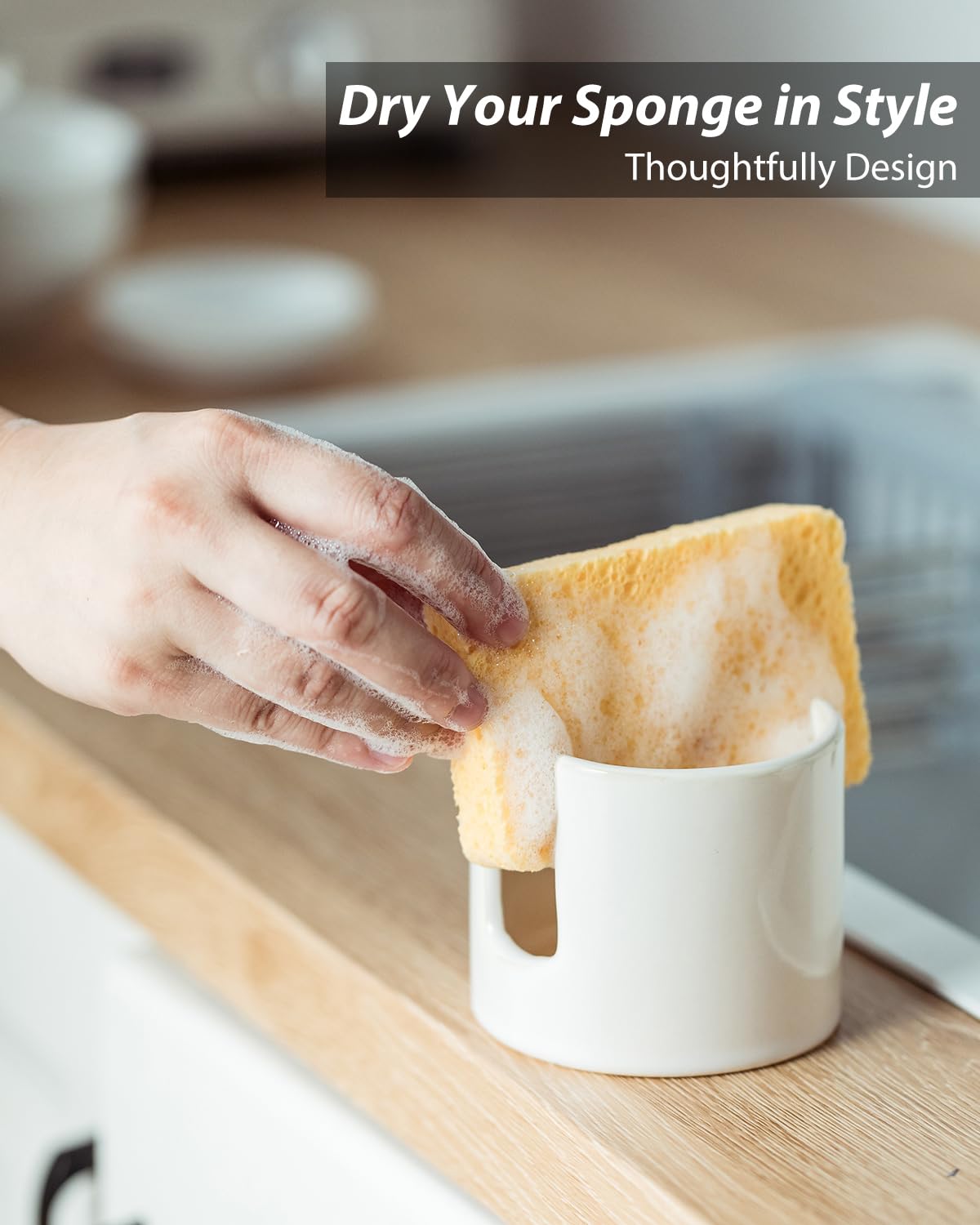 Sponge Holder for Kitchen Sink