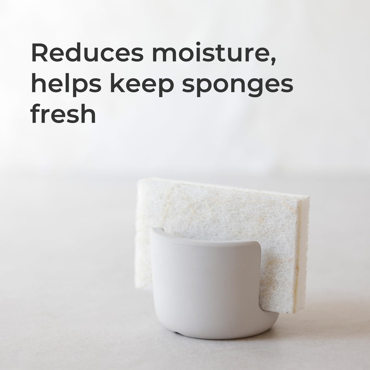 Diatomaceous Earth Sponge Holder